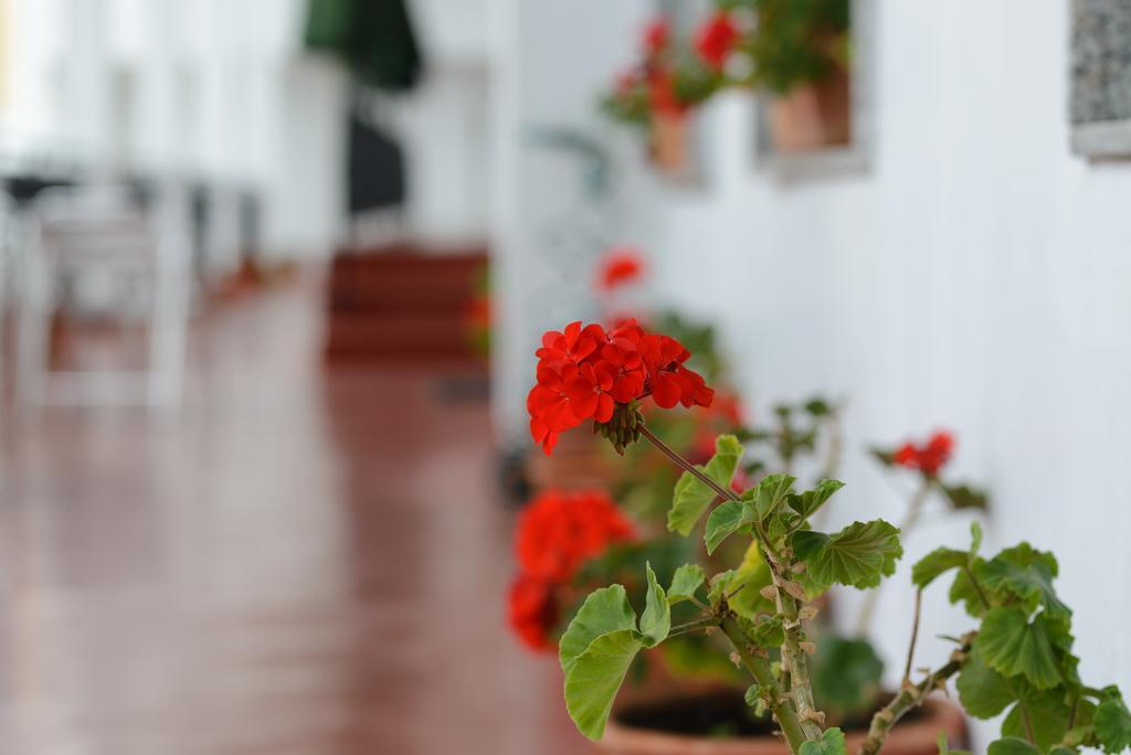 Hotel La Terraza Sanxenxo Dış mekan fotoğraf